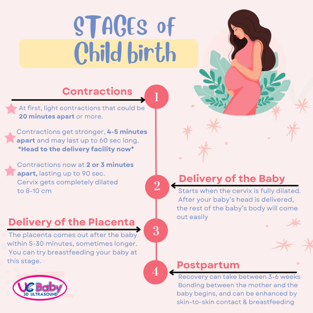 Stages Childbirth and Phases of Labor | UC Baby 3D Ultrasound